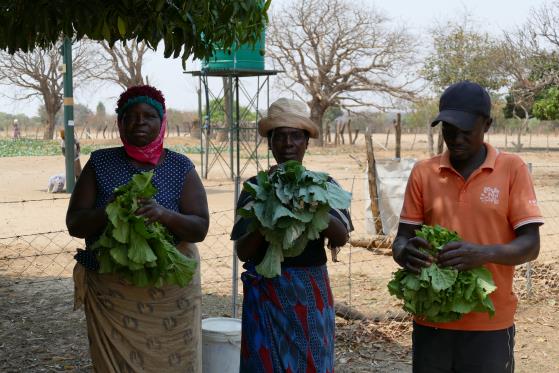 Jabulani Village - Grand Circle Foundation